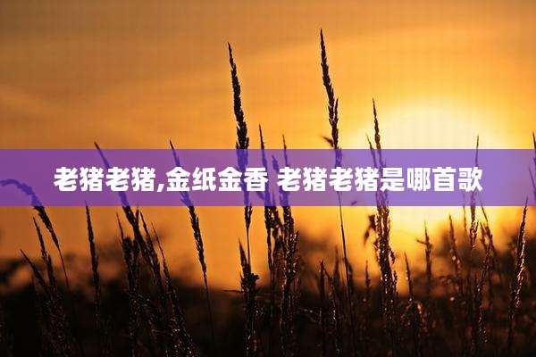 老猪老猪,金纸金香 老猪老猪是哪首歌