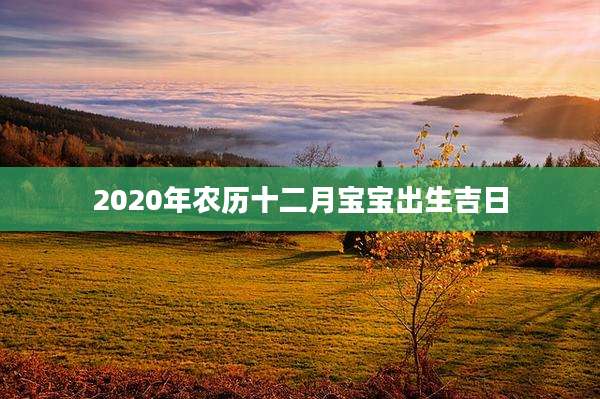 2020年农历十二月宝宝出生吉日