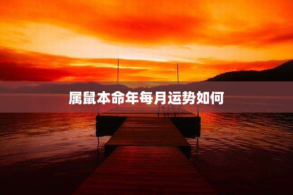 属鼠本命年每月运势如何