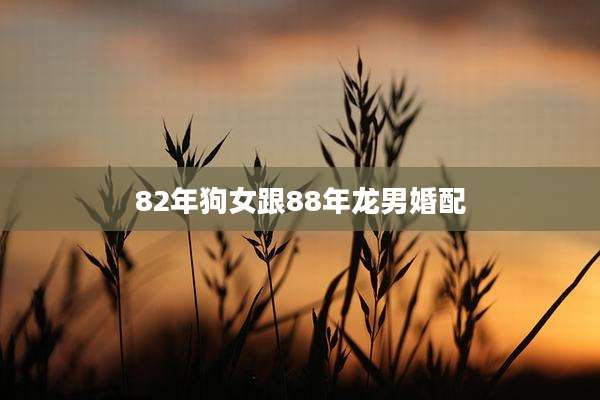 82年狗女跟88年龙男婚配