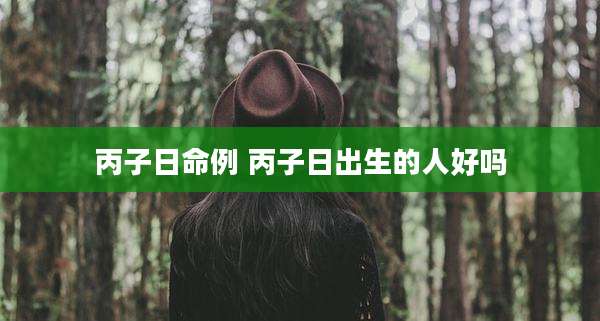 丙子日命例 丙子日出生的人好吗