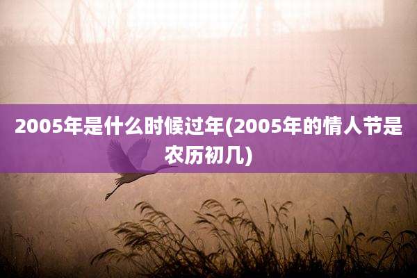 2005年是什么时候过年(2005年的情人节是农历初几)