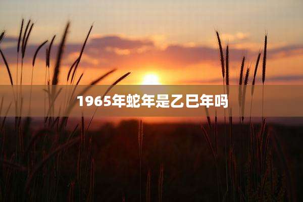 1965年蛇年是乙巳年吗