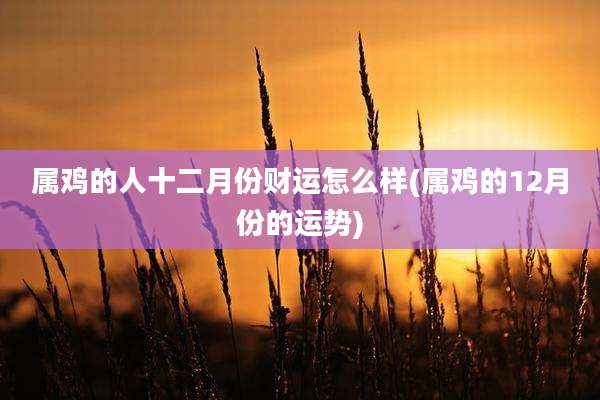 属鸡的人十二月份财运怎么样(属鸡的12月份的运势)
