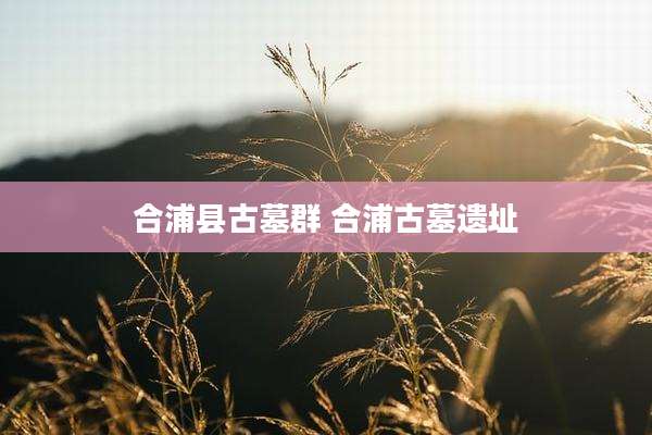 合浦县古墓群 合浦古墓遗址
