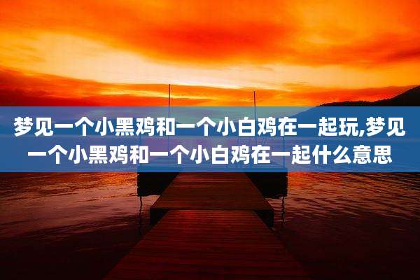 梦见一个小黑鸡和一个小白鸡在一起玩,梦见一个小黑鸡和一个小白鸡在一起什么意思