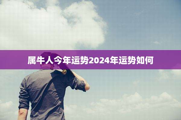 属牛人今年运势2024年运势如何