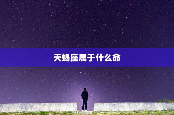 天蝎座属于什么命