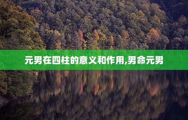 元男在四柱的意义和作用,男命元男