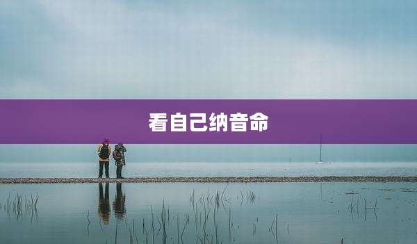 看自己纳音命