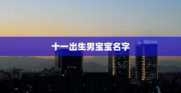 十一出生男宝宝名字