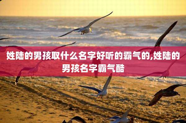 姓陆的男孩取什么名字好听的霸气的,姓陆的男孩名字霸气酷