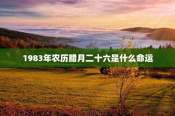 1983年农历腊月二十六是什么命运