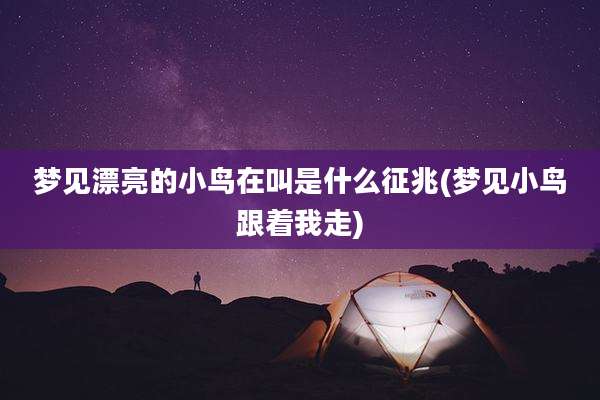 梦见漂亮的小鸟在叫是什么征兆(梦见小鸟跟着我走)