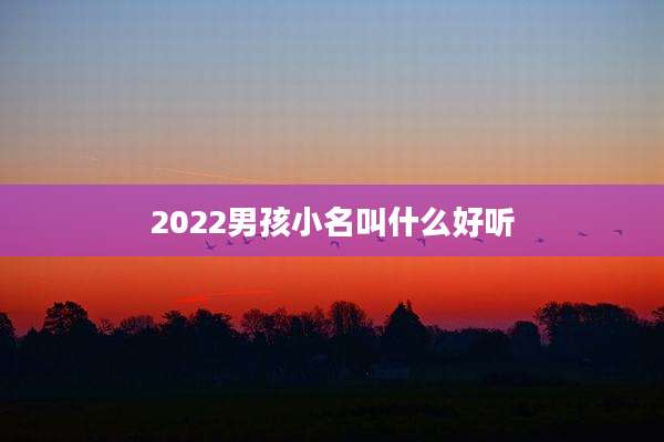 2022男孩小名叫什么好听