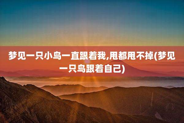 梦见一只小鸟一直跟着我,甩都甩不掉(梦见一只鸟跟着自己)