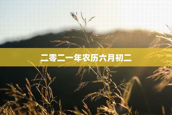 二零二一年农历六月初二