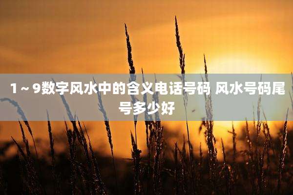 1～9数字风水中的含义电话号码 风水号码尾号多少好