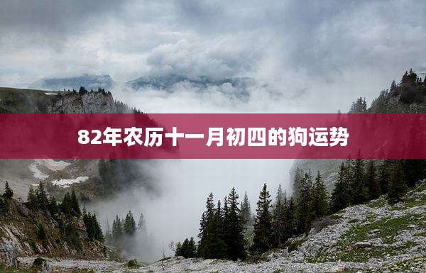 82年农历十一月初四的狗运势