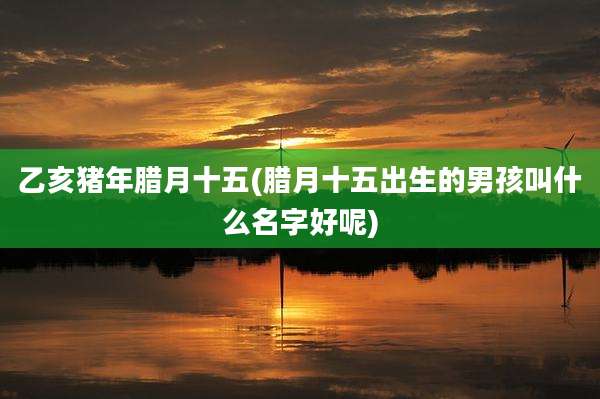 乙亥猪年腊月十五(腊月十五出生的男孩叫什么名字好呢)