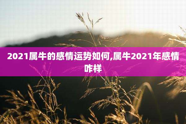 2021属牛的感情运势如何,属牛2021年感情咋样