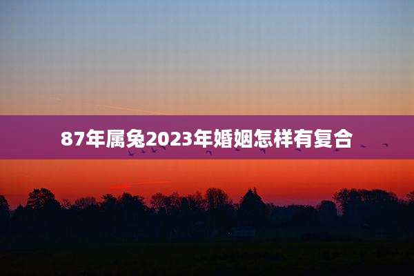87年属兔2023年婚姻怎样有复合