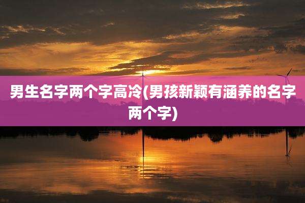 男生名字两个字高冷(男孩新颖有涵养的名字两个字)
