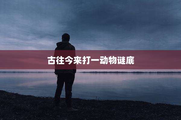 古往今来打一动物谜底