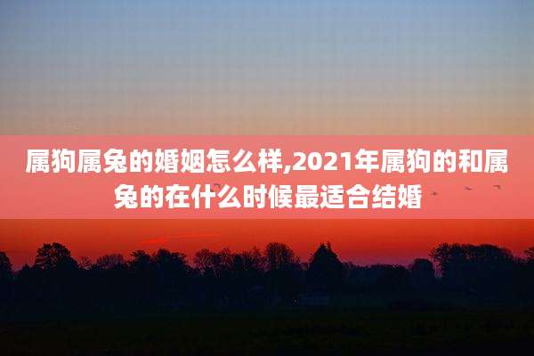 属狗属兔的婚姻怎么样,2021年属狗的和属兔的在什么时候最适合结婚