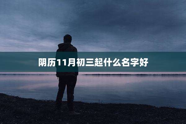 阴历11月初三起什么名字好