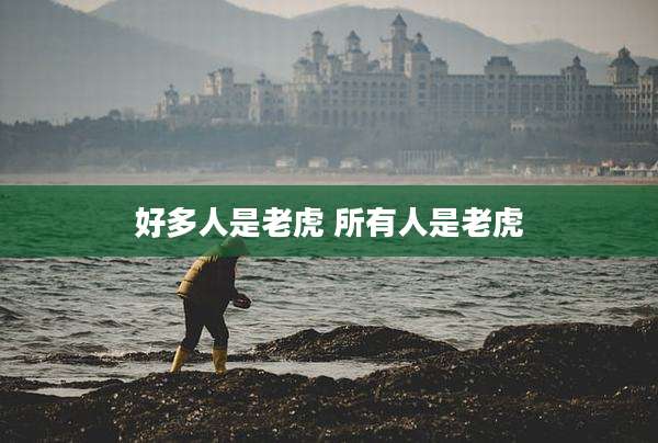 好多人是老虎 所有人是老虎