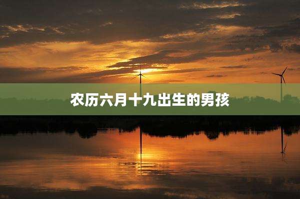 农历六月十九出生的男孩