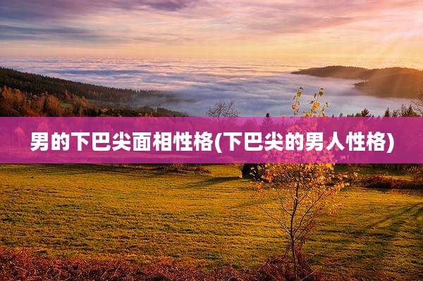 男的下巴尖面相性格(下巴尖的男人性格)