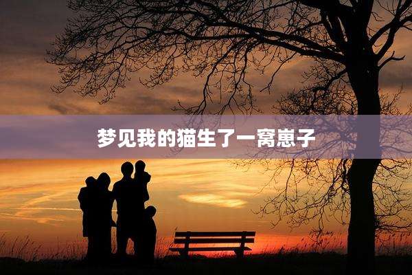 梦见我的猫生了一窝崽子