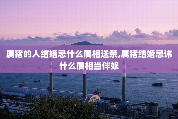 属猪的人结婚忌什么属相送亲,属猪结婚忌讳什么属相当伴娘