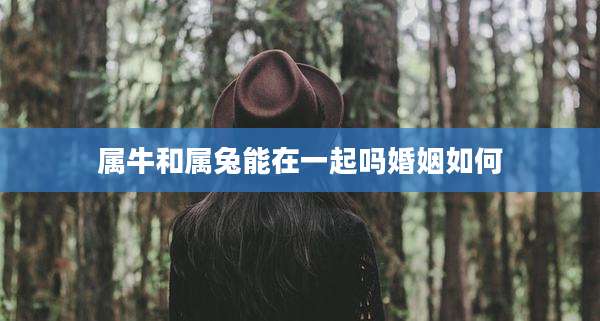 属牛和属兔能在一起吗婚姻如何