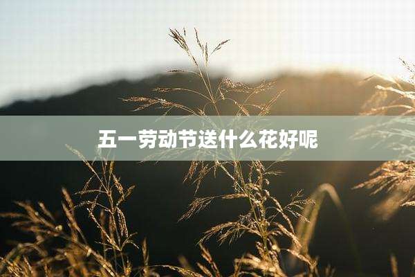 五一劳动节送什么花好呢