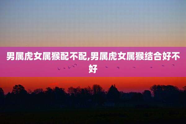 男属虎女属猴配不配,男属虎女属猴结合好不好