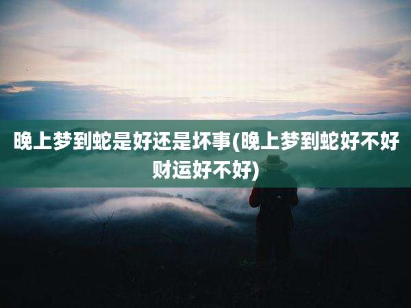 晚上梦到蛇是好还是坏事(晚上梦到蛇好不好财运好不好)