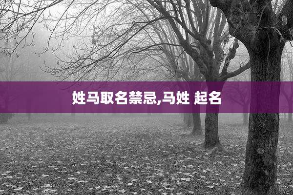 姓马取名禁忌,马姓 起名
