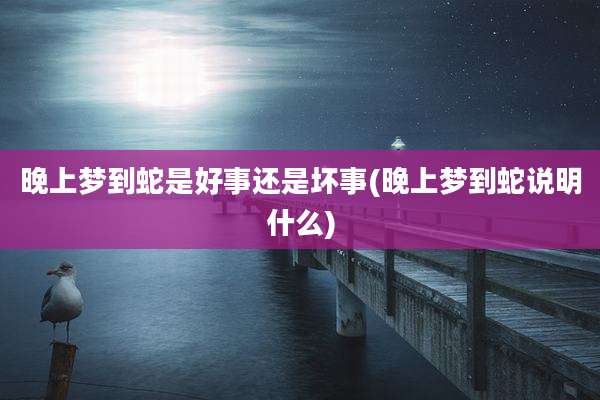 晚上梦到蛇是好事还是坏事(晚上梦到蛇说明什么)