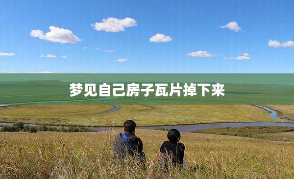 梦见自己房子瓦片掉下来