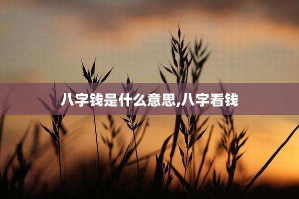 八字钱是什么意思,八字看钱