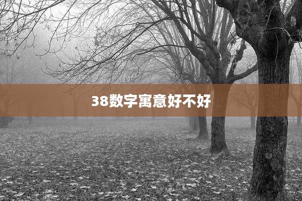 38数字寓意好不好