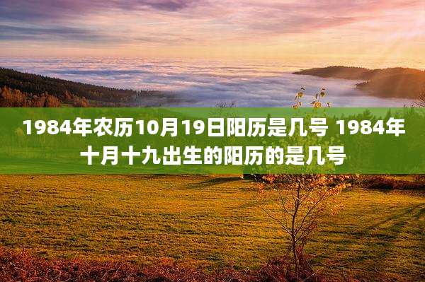 1984年农历10月19日阳历是几号 1984年十月十九出生的阳历的是几号