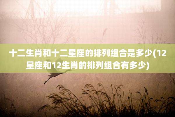 十二生肖和十二星座的排列组合是多少(12星座和12生肖的排列组合有多少)