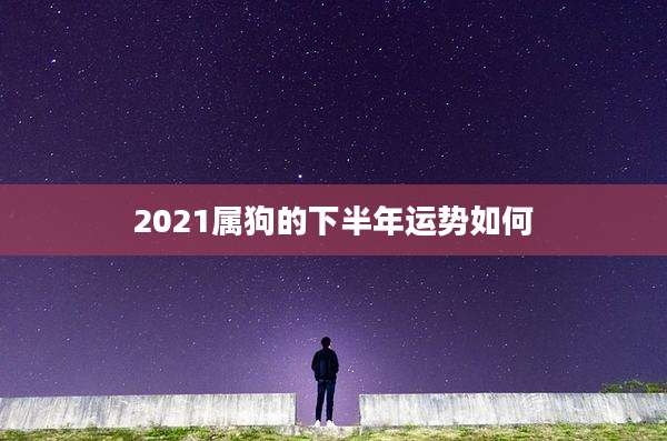 2021属狗的下半年运势如何