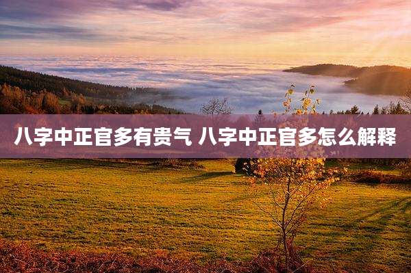 八字中正官多有贵气 八字中正官多怎么解释