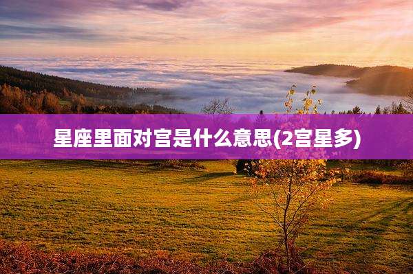 星座里面对宫是什么意思(2宫星多)