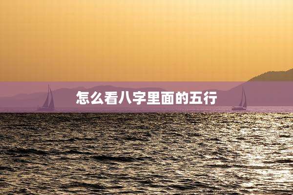 怎么看八字里面的五行